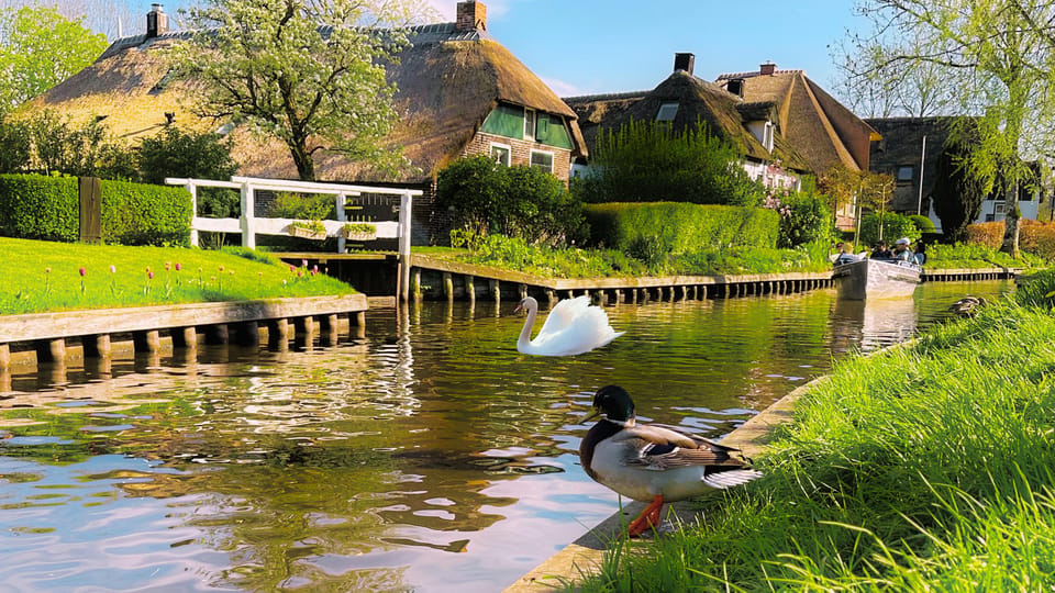 Amsterdam: Private Tour Giethoorn, Zaanse Schans Local Guide - Price and value: what you’re really paying for