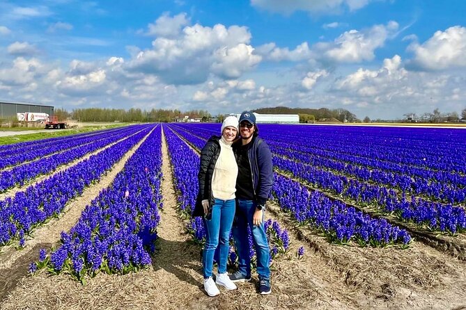 Amsterdam Private Tour to Keukenhof, Tulip Fields and Windmills - Why a Private Keukenhof–Windmills Day Feels Different
