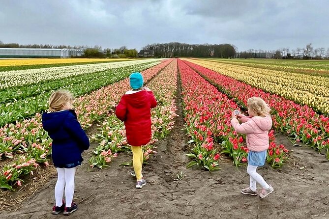 Amsterdam Private Tour to Keukenhof, Tulip Fields and Windmills - Zaanse Schans: Windmills, Photos, and What to Plan For