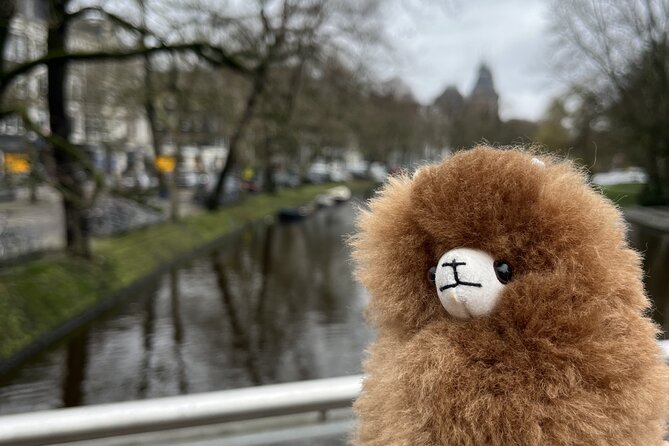 Amsterdam Private Walking & Tasting Tour - Timing, Comfort, and How to Prepare for 3 Hours of Walking