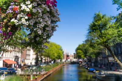 Amsterdam Private Walking Tour - Beursplein to Centraal Station: the city’s movement starts with trade