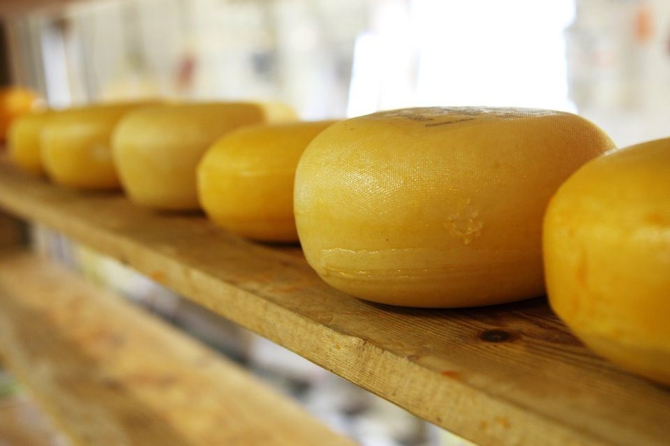 Amsterdam: Private Zaanse Schans Windmills and Volendam Trip - Henri Willig Kaas BV: Cheese Tasting That Actually Counts