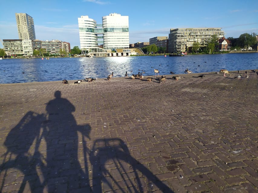 Amsterdam: Rainbow Rural Bike Tour With Local Gay Guide - Abandoned Harbor and Murals: When Urban Art Meets Water