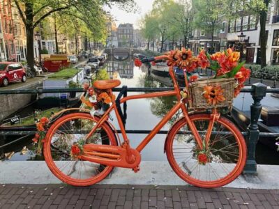 Amsterdam: Small Group Walking Tour with Fun Guide - David’s storytelling pace through Amsterdam’s biggest hits