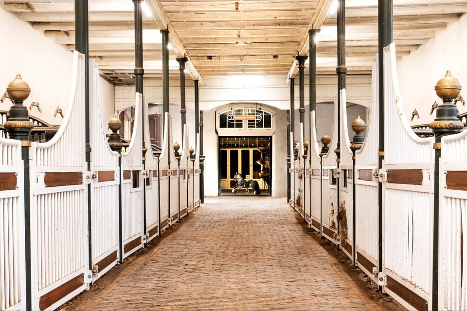 Amsterdam: The 'Hollandsche Manege' Stables Entry Ticket - Key Things You’ll Notice