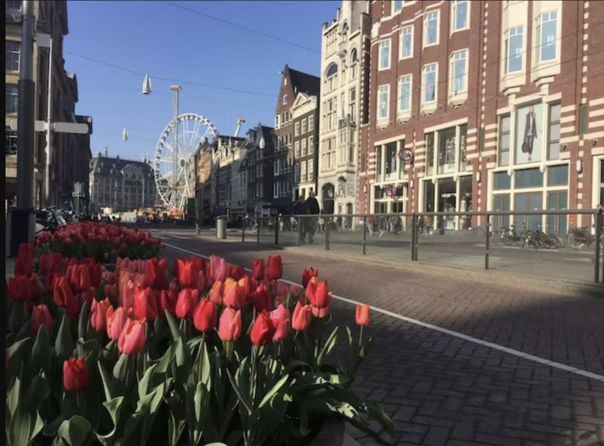 Amsterdam: The Story of History & Culture Walking Tour - The dog companion bonus: Tolkien on select tours