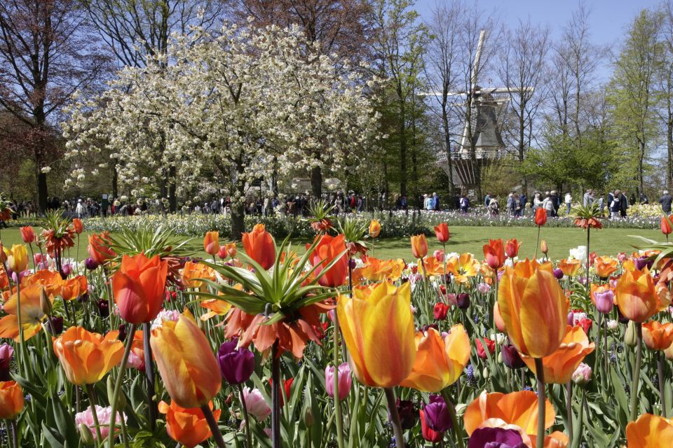 Amsterdam: Tour to Keukenhof Gardens with Windmill Cruise - Bus, boat, and the small comfort wins you’ll feel