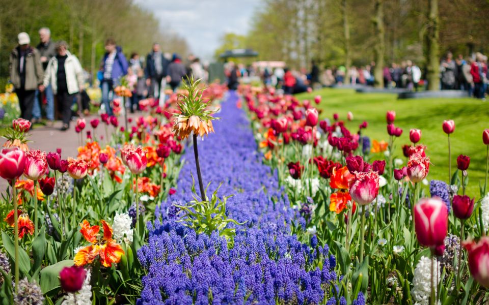 Amsterdam: Tour to Keukenhof Gardens with Windmill Cruise - Timing tips: which departure to choose