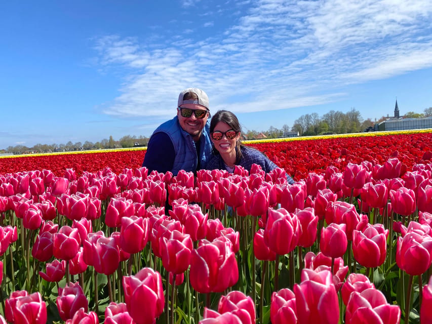 Amsterdam: Tulip Fields Day Tour with Lunch & Windmill - Tulip fields north of Amsterdam: why this day feels calmer