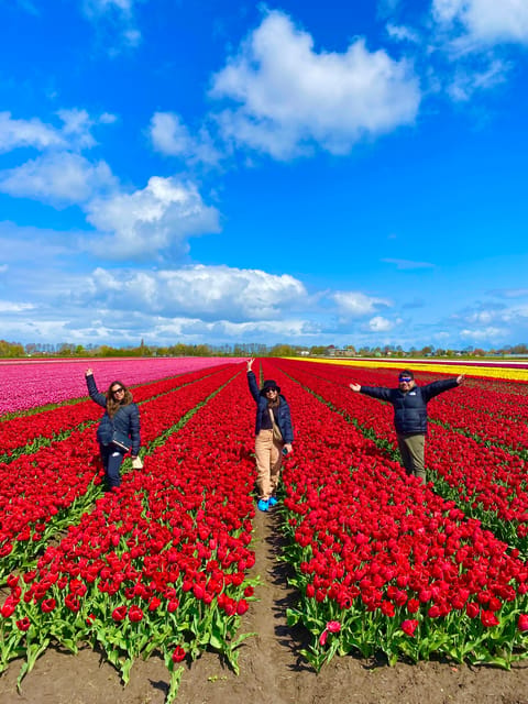 Amsterdam: Tulip Fields Day Tour with Lunch & Windmill - Windmills: stepping into a 1633 working atmosphere