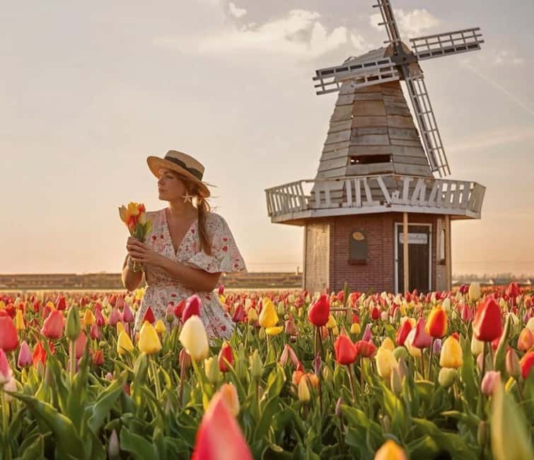Amsterdam : Tulip Wonderland Tour - Meeting at Market 27: the Noord metro shortcut that keeps things simple