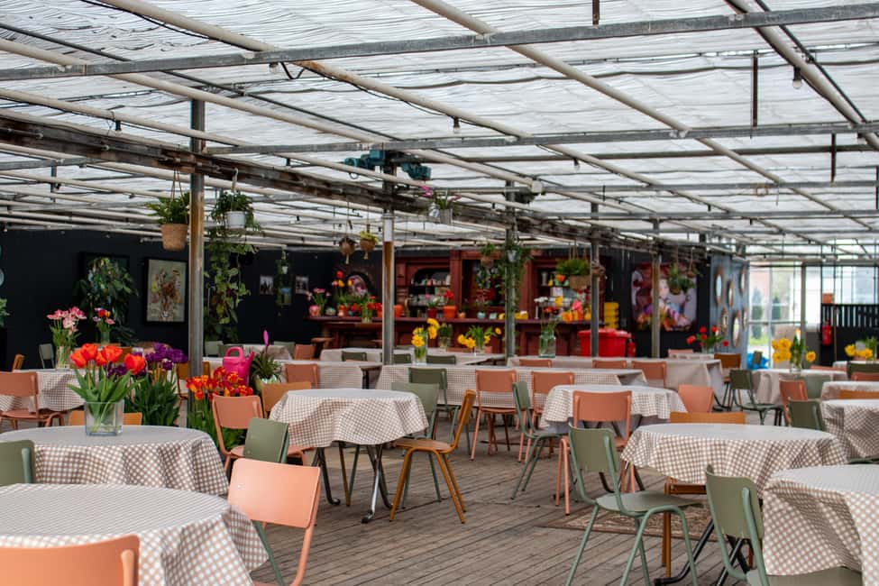 Amsterdam : Tulip Wonderland Tour - Price and value: is $37 a fair deal for 3 hours and a tulip entry ticket?