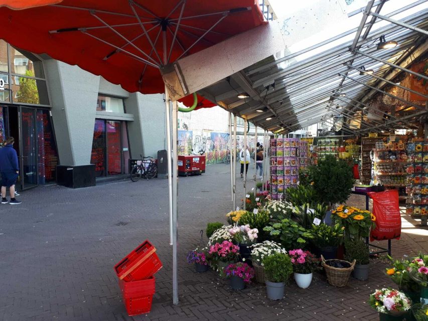 Amsterdam Walking Tour and Canal Cruise - A four-hour Amsterdam mix of Jordaan walking and a glass-roof cruise