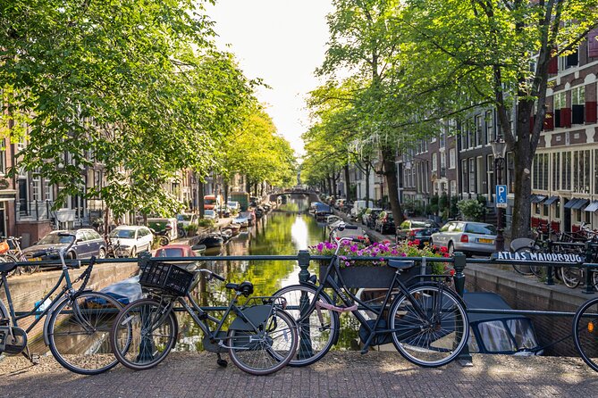 Amsterdam Walking Tour and Cruise with Drinks and Cheese Tasting - Who should book this Amsterdam walking tour and cruise