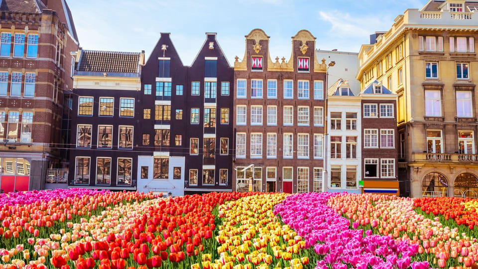 Amsterdam Walking Tour with a Local - Your neighborhood start: where to eat, shop, and get around