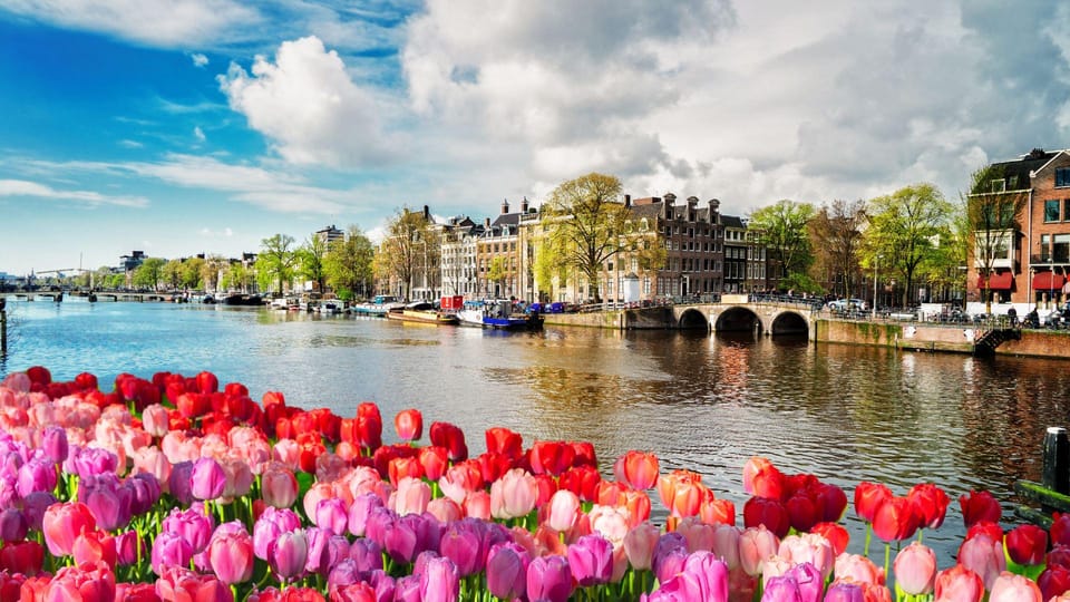 Amsterdam Walking Tour with a Local - What “insider tips” should mean on a walking tour