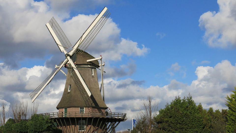 Amsterdam: Windmill Guided Tour - The view: Ringvaart Canal panoramas that make the climb worth it