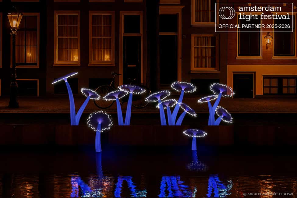 Amsterdam Winter Walking Tour - Guide Language Options: Choose What Makes You Relax
