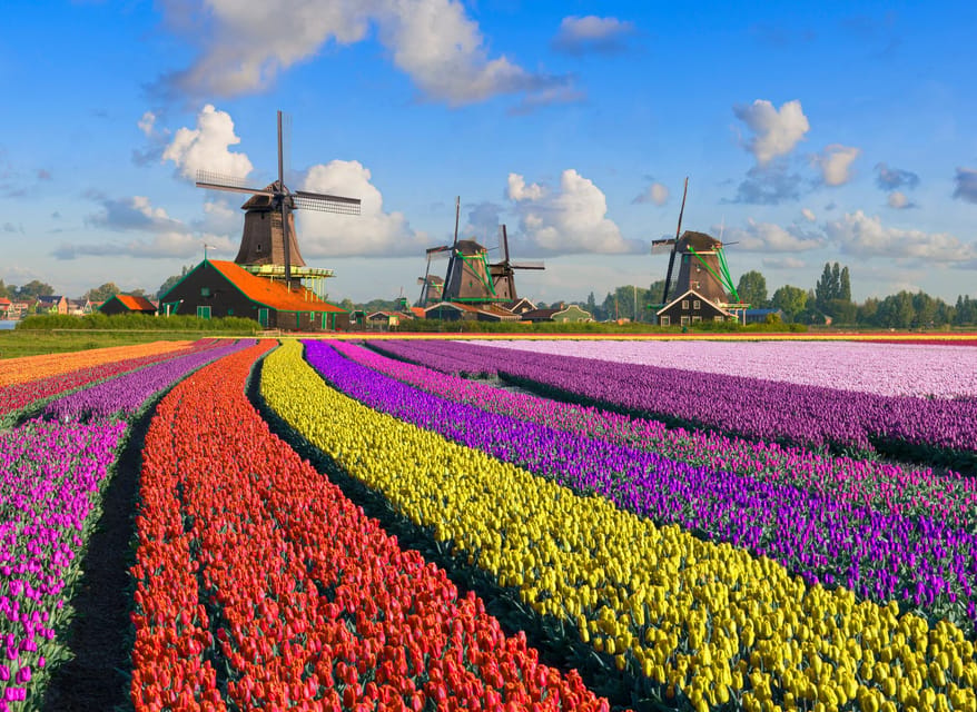 Amsterdam: Zaanse Schans, The Hague & Rotterdam Tour - One Day, Three Worlds: How This Trip Really Feels