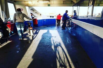 Amsterdam's Hidden Gems and Street Art Bike Tour - Westerpark: calmer riding and park art moments