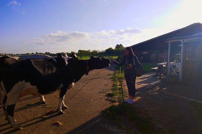 Best of Dutch Countryside: Giethoorn, Windmills, Secret Villages - Timing, Transport, and Why the Day Can Feel Long