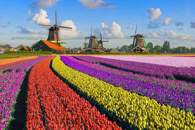 Best of Netherlands: Zaanse Schans Mills, The Hague & Rotterdam - The Hague: Peace Palace, Royal Park, and Mauritshuis Focus