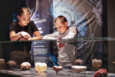 Body Worlds Amsterdam Admission Ticket - How the exhibits are laid out: plan your route in your head