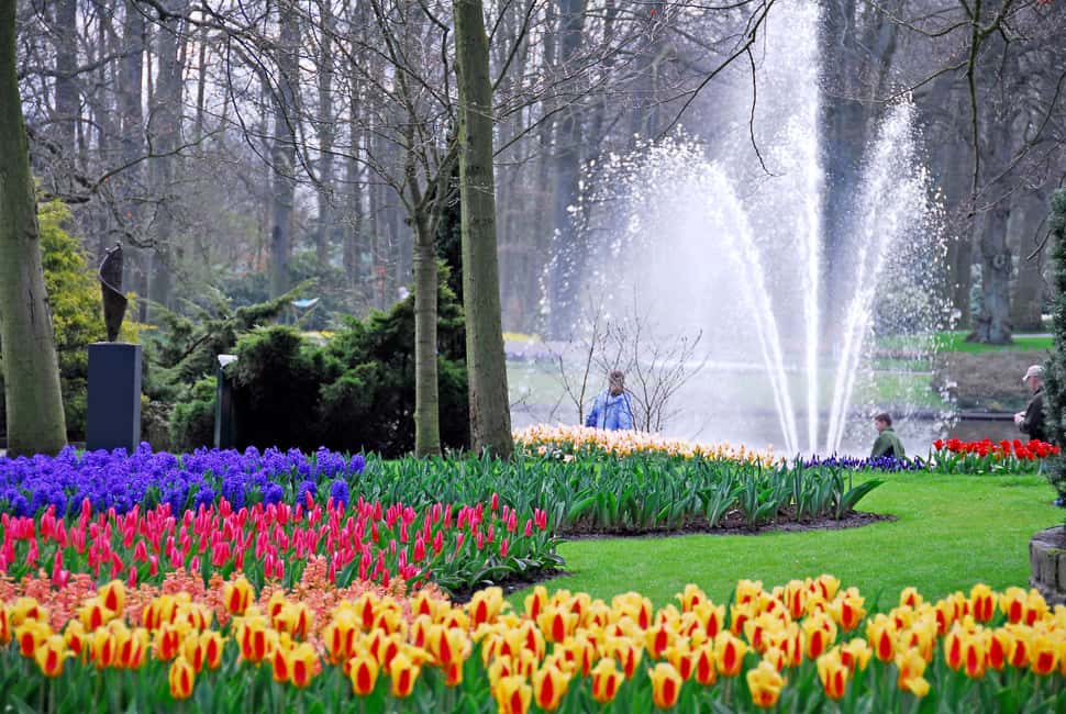 Brussels: Holland Keukenhof & Kinderdijk Guided Day Tour - Going inside two windmills (and why that matters)