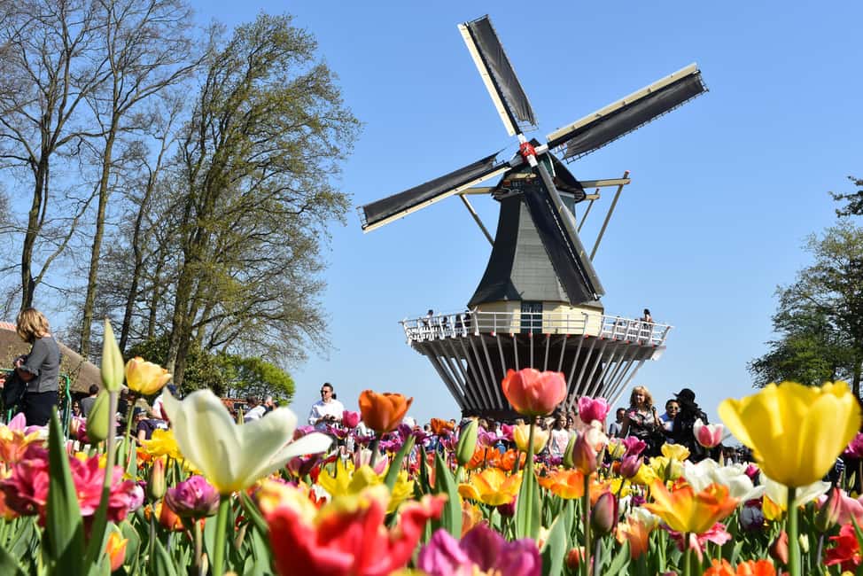 Brussels: Holland Keukenhof & Kinderdijk Guided Day Tour - Price and value: what $192 buys you