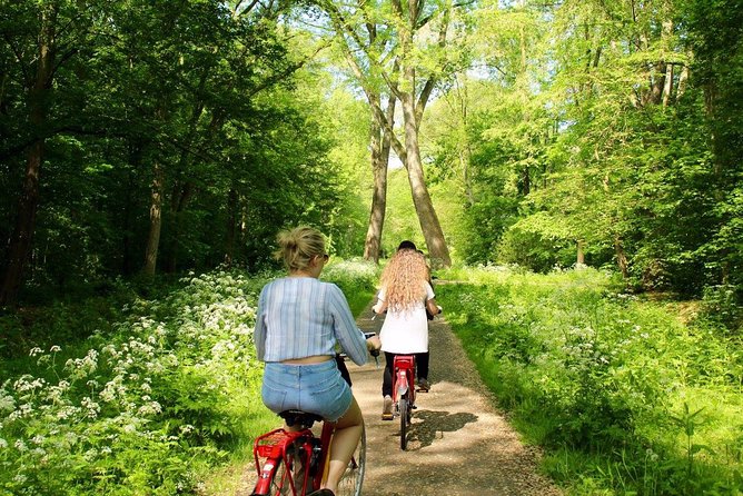 Countryside Fishermen Villages & Cheese E-bike Tour - Stop 3 at Krijtmolen d’Admiraal (1792): more than a photo windmill