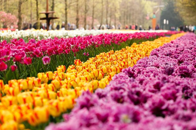 Day Trip to Keukenhof Gardens from Amsterdam with Tour Guide - Keukenhof in One Day: the real value of this $71.20 trip
