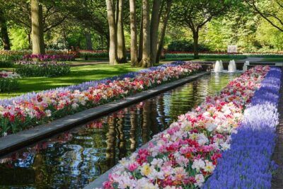 Day Trip to Keukenhof Gardens from Amsterdam with Tour Guide - The drive out of Amsterdam: coach comfort plus guide context