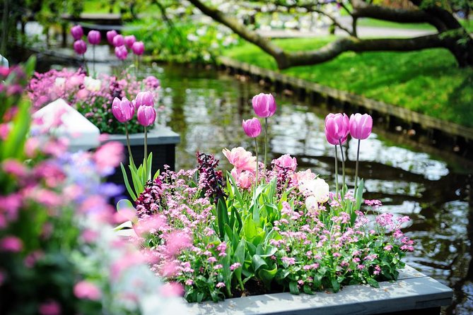 Day Trip to Keukenhof Gardens from Amsterdam with Tour Guide - Free time in the gardens: using your about 3 hours well