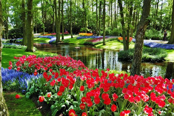 Day Trip to Keukenhof Gardens from Amsterdam with Tour Guide - Guide quality varies: how to get the best version of this tour
