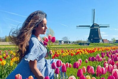 Discover Holland’s Beautiful Tulip Fields with an Expert Guide - Your First Tulip Stop: Twisk Fields You Can Actually Walk