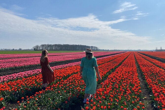 Discover Holland’s Beautiful Tulip Fields with an Expert Guide - Guides That Solve the Season Problem (Roel and Mike)