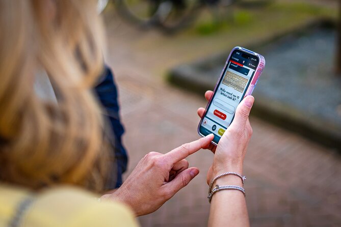 Discover Texel (Den Burg) with Self-Guided Outside Escape game - The story: shipwreck wood, goose hunting, and cargo clues