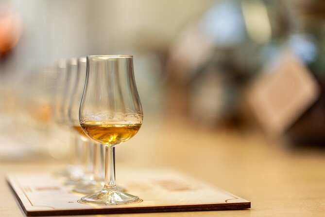 Distillery Tour & Rum Tasting @Spirited Union Rum Co. (Amsterdam) - Who this is best for in Amsterdam