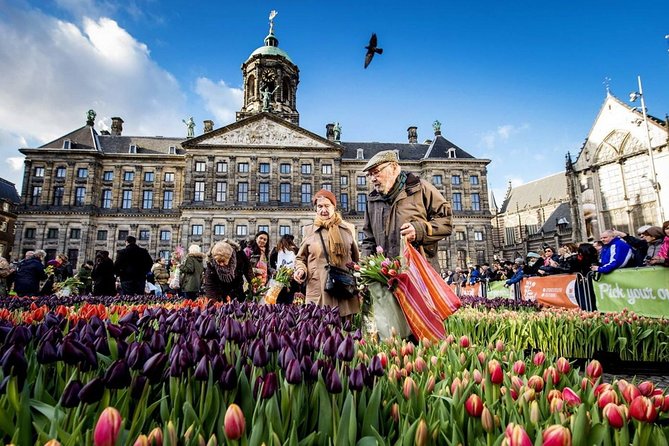 e-Scavenger hunt Amsterdam: Explore the city at your own pace - Should you book the e-Scavenger hunt Amsterdam?