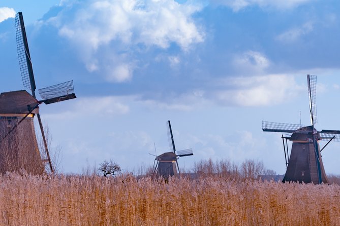 Famous Holland Tour: visit The Hague, Delft, Rotterdam and Kinderdijk from A'dam - The Hague Binnenhof: Ridderzaal and the Heart of Dutch Government