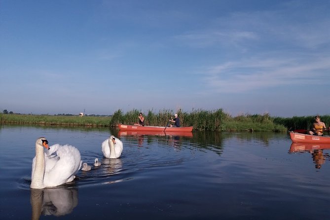 Fresh nose tour with the canoe through the nature near Amsterdam - Weather, Timing, and How to Choose Your Day