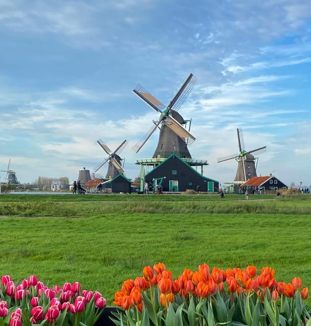 From Amsterdam; Alkmaar Cheese market & Zaanse Schans - Should You Book This Amsterdam to Alkmaar and Zaanse Schans Trip?