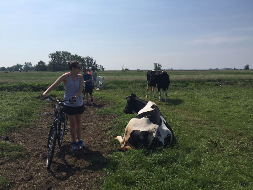 From Amsterdam: Countryside Bike Tour - Escape Amsterdam via the ferry and the first dike views