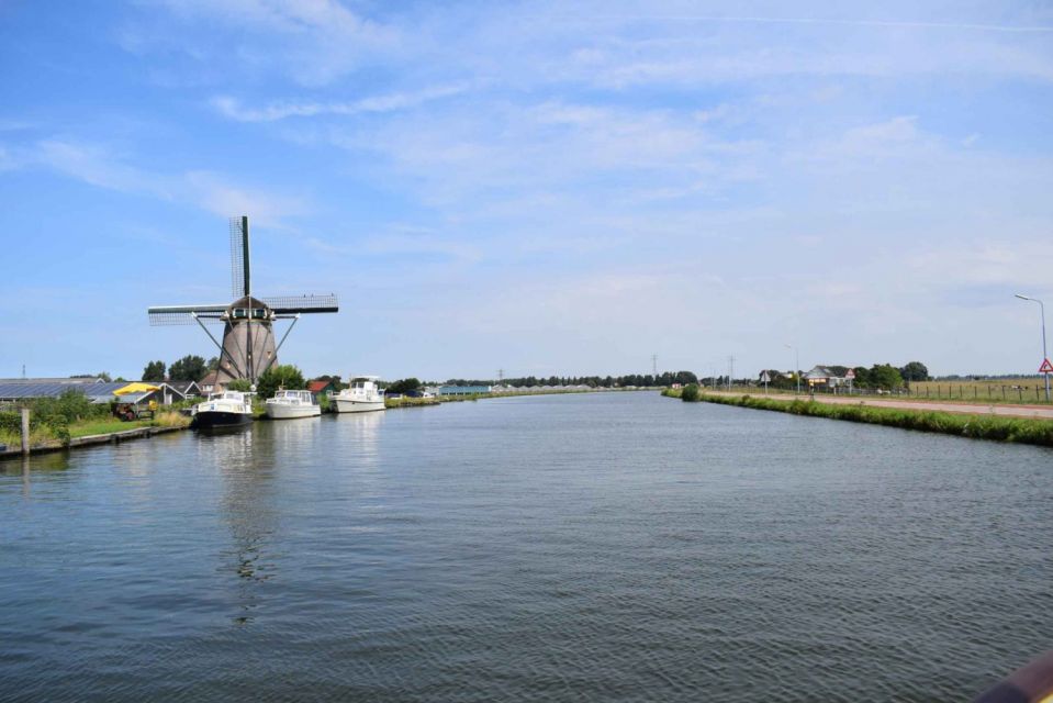 From Amsterdam: Holland Flower and Windmill Tour - summer ed - Key highlights you’ll remember