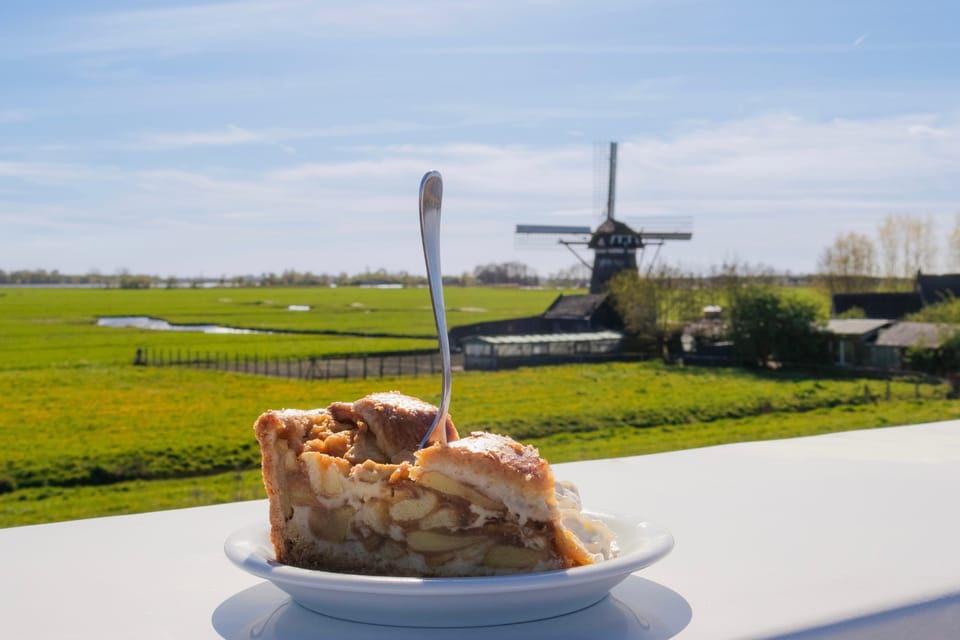 From Amsterdam: Holland Flower and Windmill Tour - summer ed - What makes the cruise time feel right (and what to plan around)