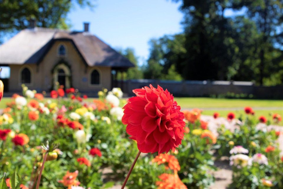 From Amsterdam: Holland Flower and Windmill Tour - summer ed - De Tulperij flower farm: dahlias, fields, and the owners’ welcome