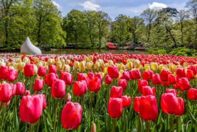 From Amsterdam: Keukenhof and Dutch Countryside Tour - Meeting Point at De Ruijterkade 34A: Don’t Be Late
