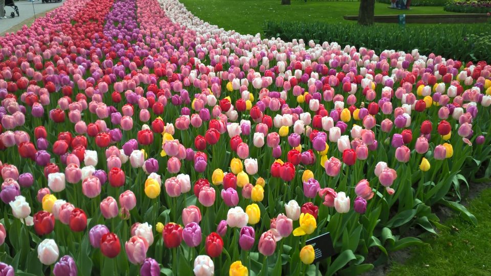 From Amsterdam: Keukenhof and Zaanse Schans Small Group Tour - Key points before you go