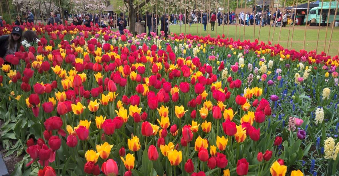 From Amsterdam: Keukenhof and Zaanse Schans Small Group Tour - Zaanse Schans: windmills, waterfront vibes, and guided context