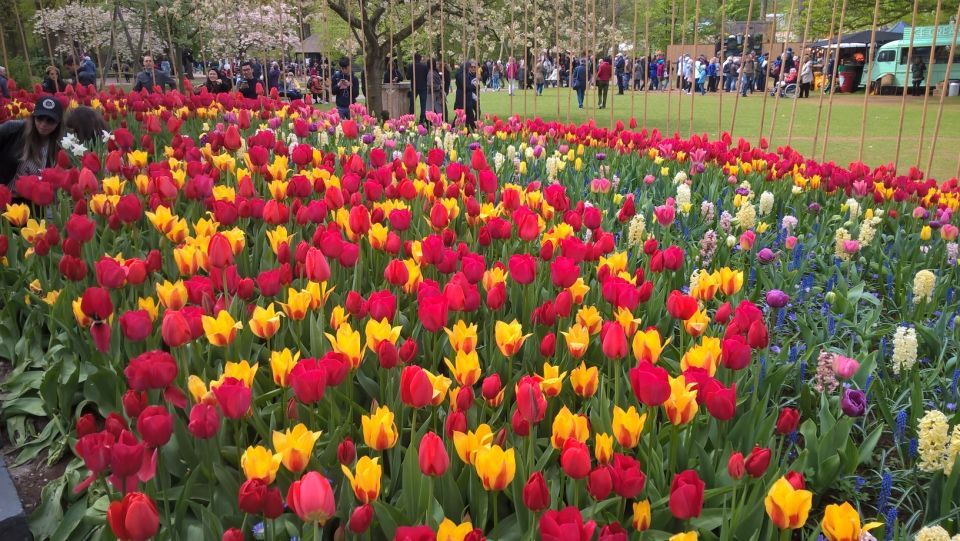 From Amsterdam: Keukenhof and Zaanse Schans Small Group Tour - Price and value: is $130 worth it?